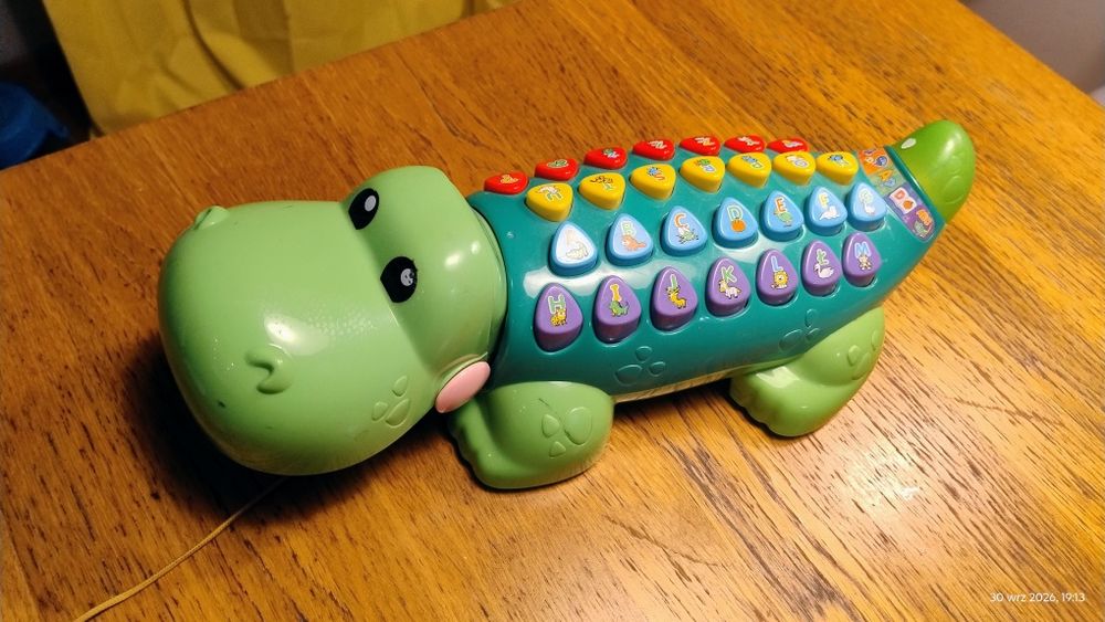 Oto Aligator Edukator