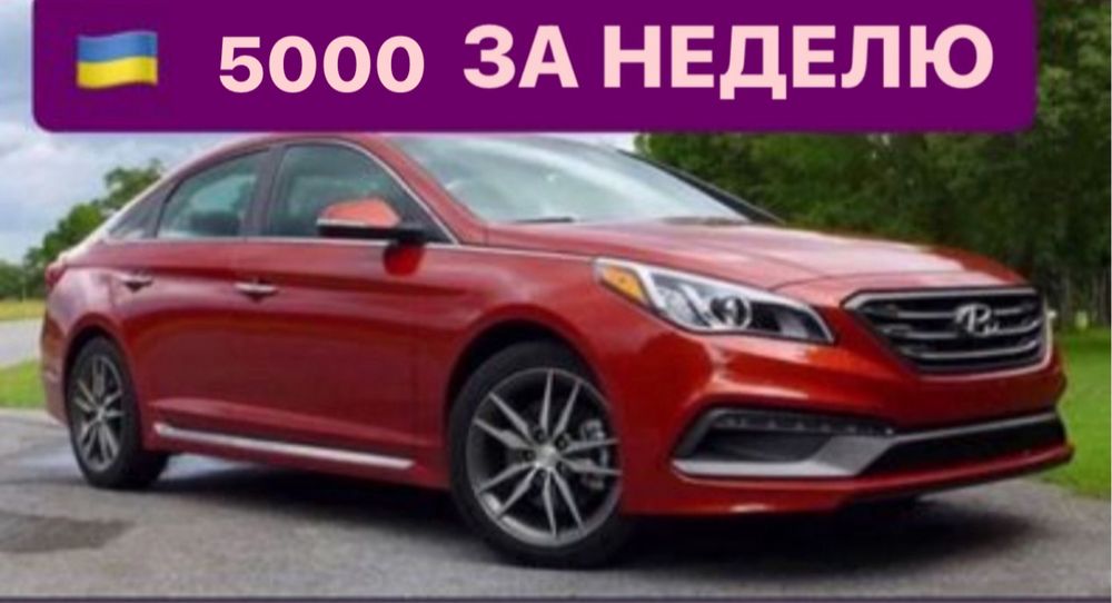 МЕГА СКИДКА!! Предлагаем услуги по аренде автомобилей в КИЕВЕ.