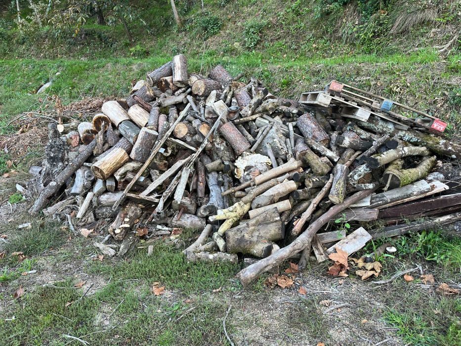 Vendo Lanha de Oliveira, Castanheiro, Plátano: