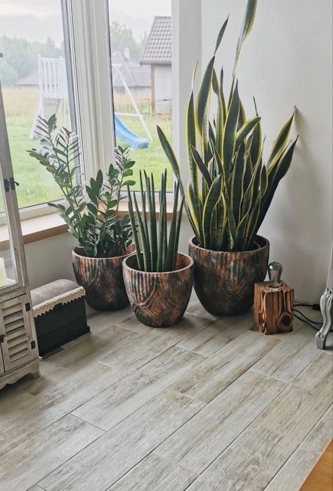 Piekne donice .Zapraszam