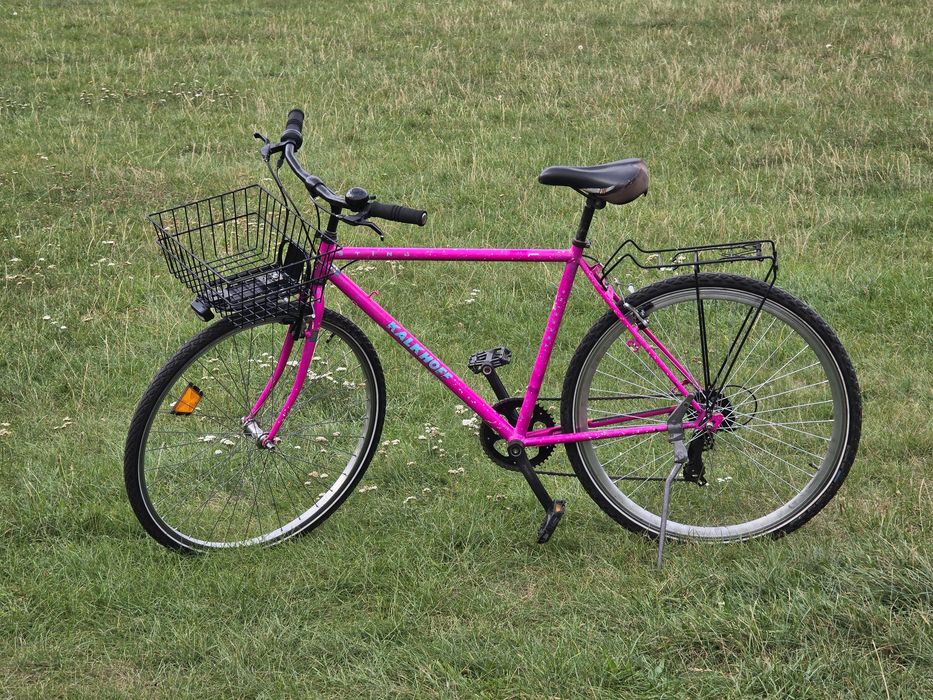 Kalkhoff Sting / Resto-mod / Commuter / Cargo / Klasyk Miejski / Turystyczny / Vintage