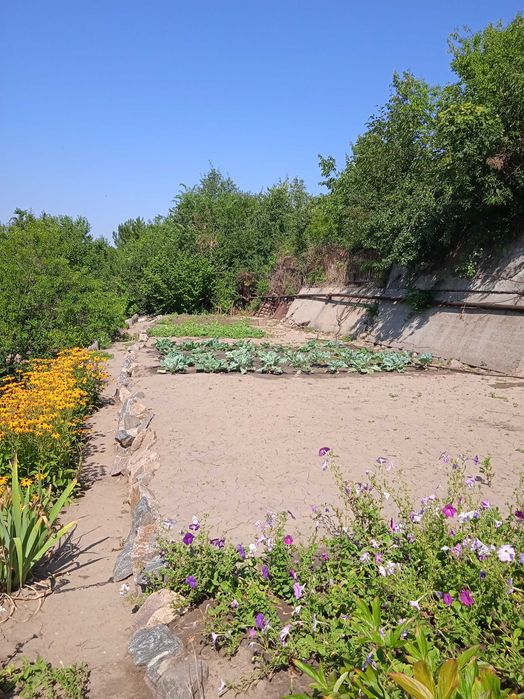 Продам дачу с.Привольное