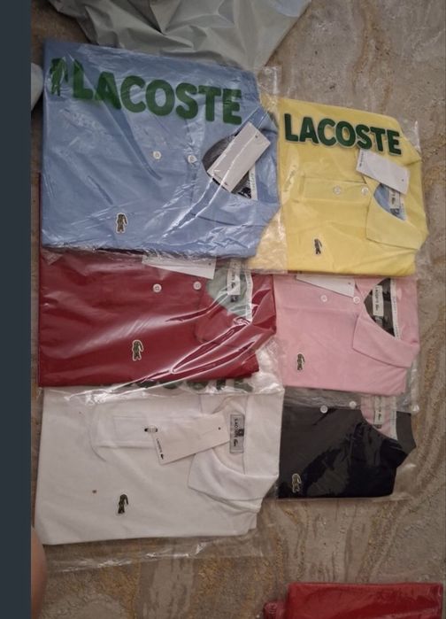 Polos lacoste    Disponivel do S ao XXL