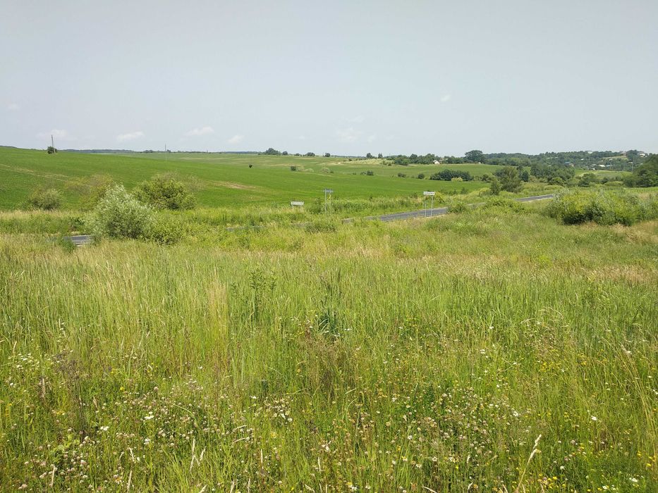 Продається ділянка на межі с. Колодіївка і с. Вовчинець, 1 лінія _RR