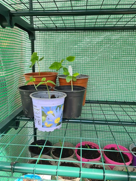Kwietnik stojak na rośliny kwiaty uprawę szklarnia balkon