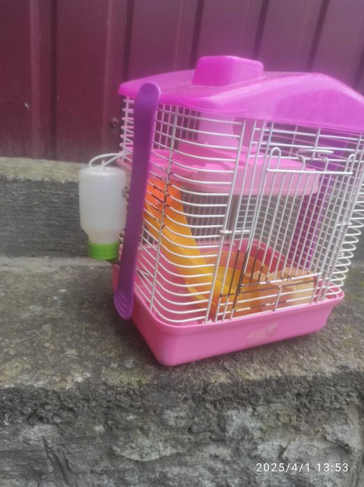 кліточка для хомячка