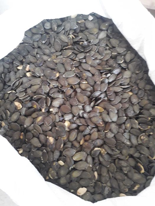 Pestki dyni bezlupinowej