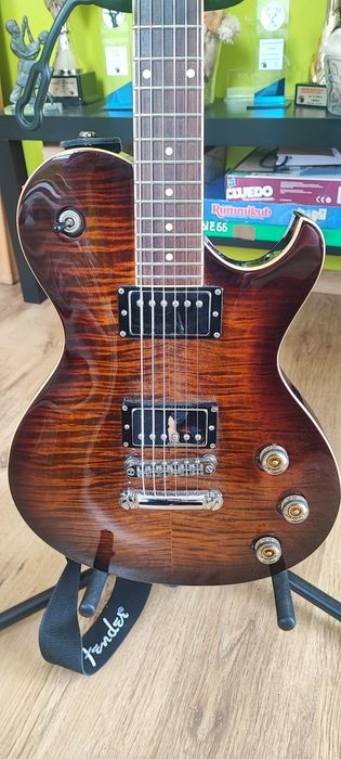 Profesjonalna Gitara Elektryczna