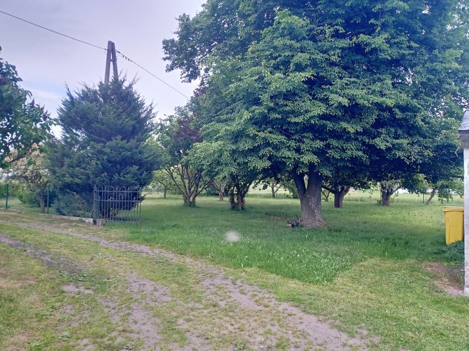 Zdjęcie 3