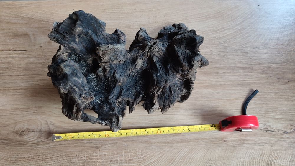 Korzenie do akwarium.