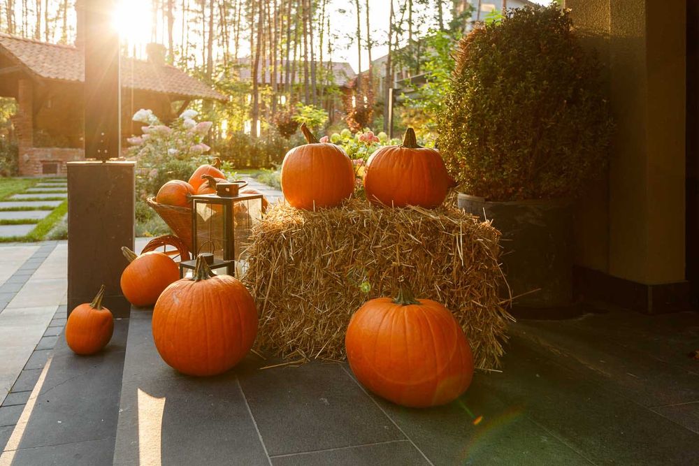 Nowy dom 300m,kominek, jacuzzi, sauna,klimatyzacja, grill, palenisko