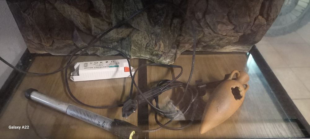Aquário 60cm com painel de fundo, termostato e suporte