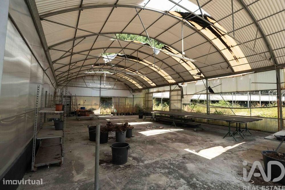 Terreno para construção em Borbela e Lamas de Olo de 2750,00 m2