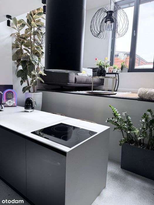 Mieszkanie loft u Scheiblera  75m2