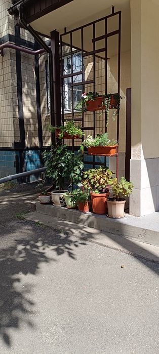 Оренда житла на ж/ м Парус / Новокодацький