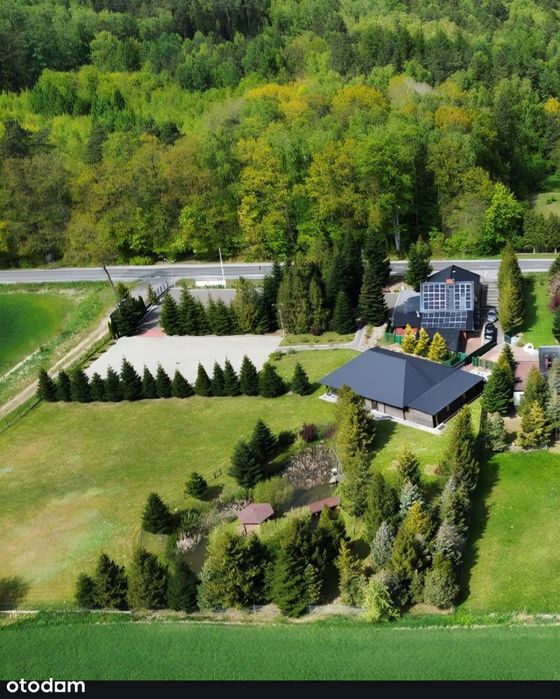 Restauracja,  reprezentacyjna altana, ogromny teren,  okazja!