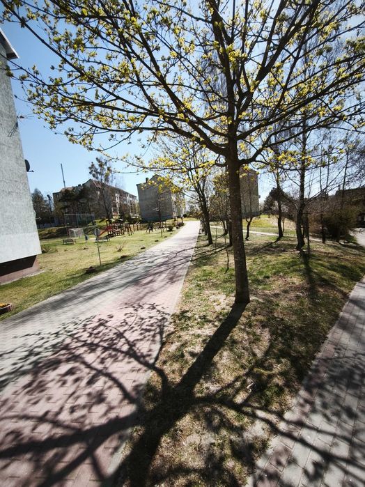 Okazja! 2 pokoje z balkonem w Miastku  tylko 175 000 zł!
