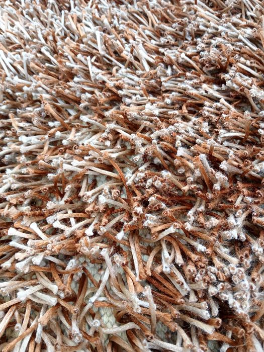 Tapetes carpetes