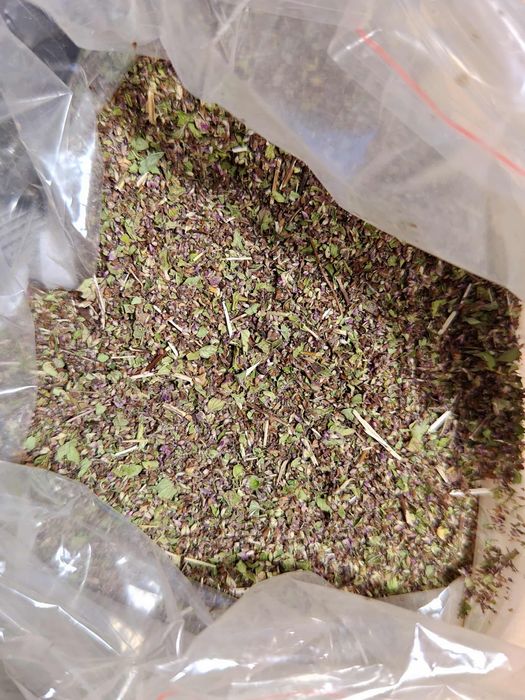 Oregano nasienne ziele przemłot młócone zioła