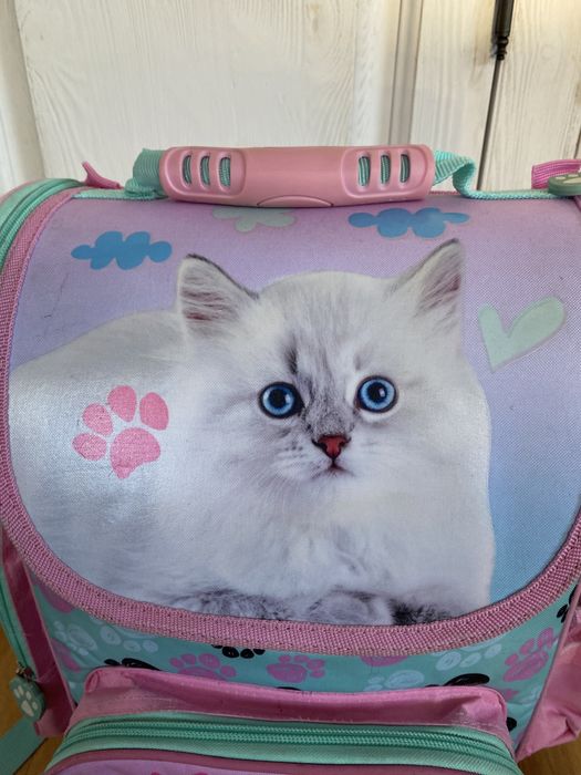 Plecak szkolny kotek kot z empik