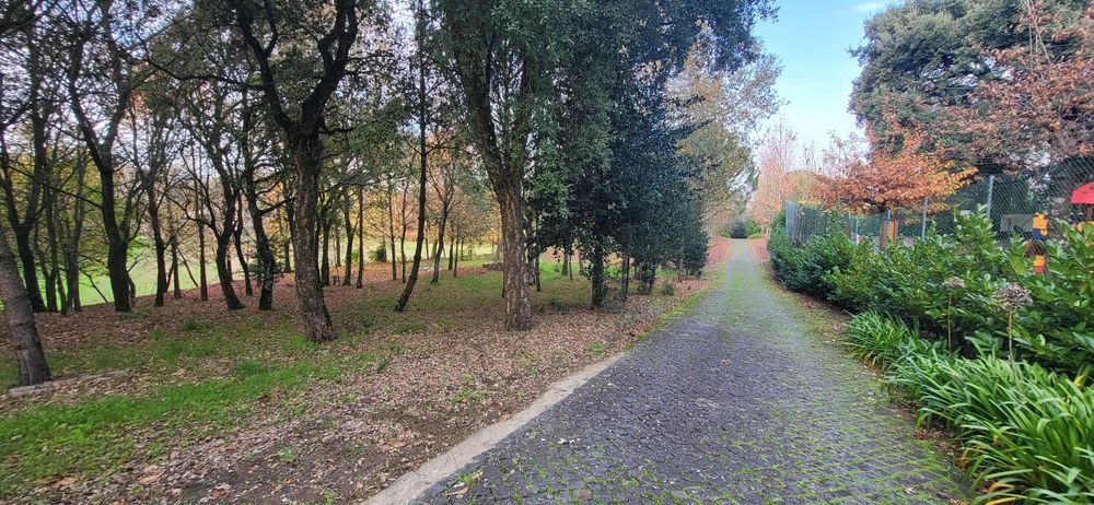 Quinta Roriz - Santo Tirso com 50 000 mts²