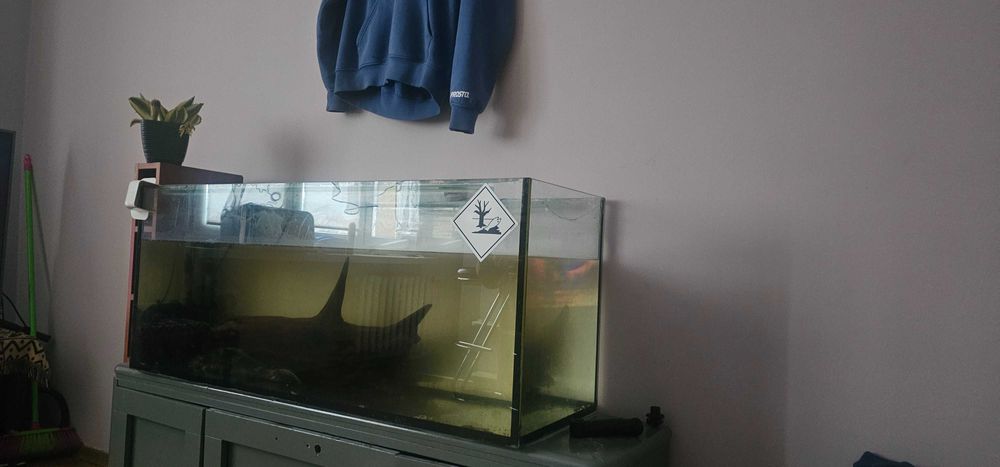 Akwarium 240 L +grzałka+pompka