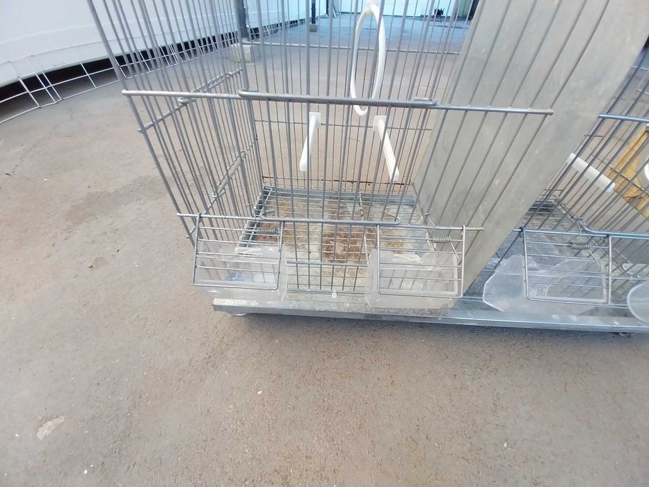 Gaiola pássaros - usada