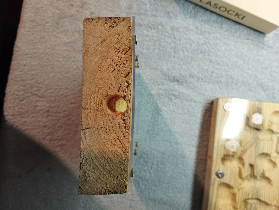 Drewniane formikarium dla mrówek 22x12[cm]