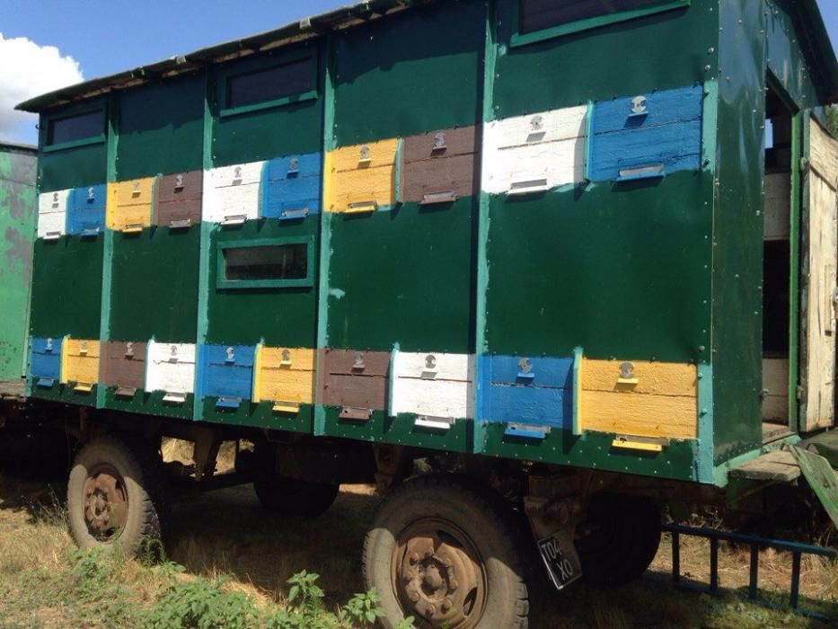Продам пчёлопавильен