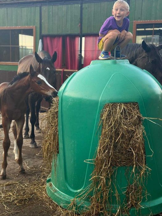 Sianokiszonka dla koni