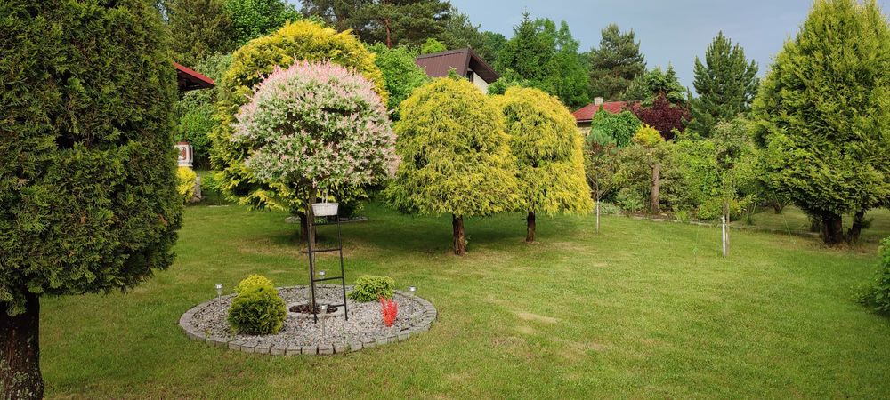 Sprzedam działkę rekreacyjną