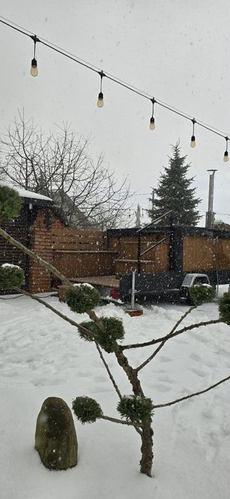 Mobilna sauna na wynajem