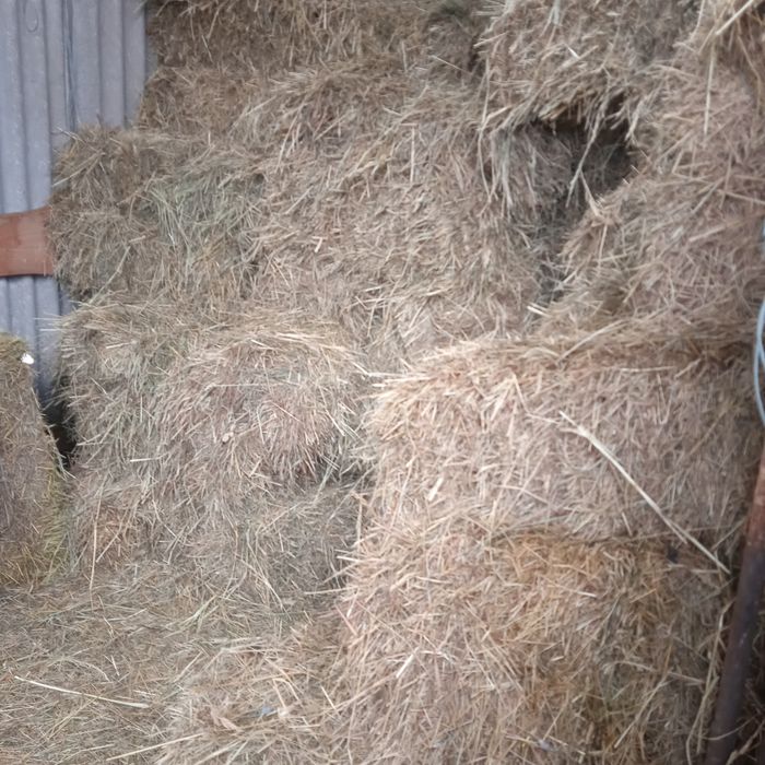 Продам сіно тюки