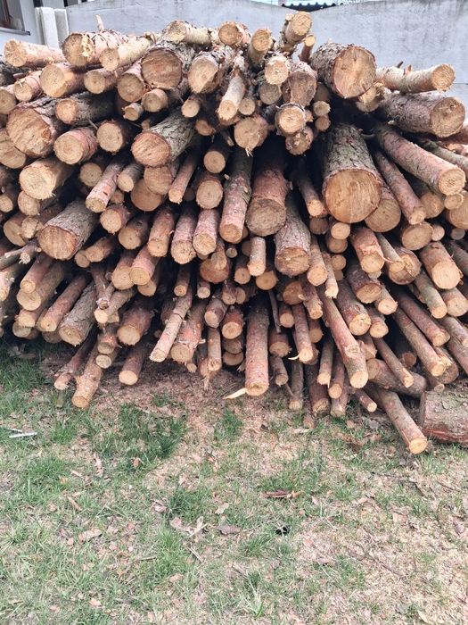 Drewno opałowee sosna świerk