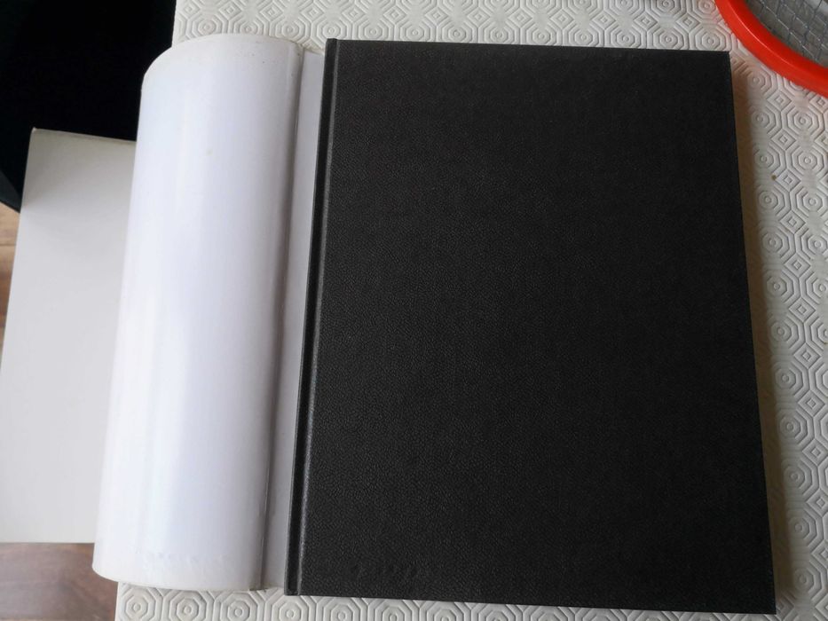 Do fulgor das flores. Raúl Constâncio & David Mourão-Ferreira