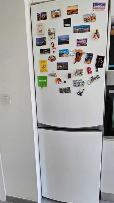 Frigorífico combinado Zanussi No Frost 318 L – 185 cm