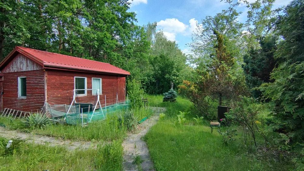 Szczaki ogródek działkowy
