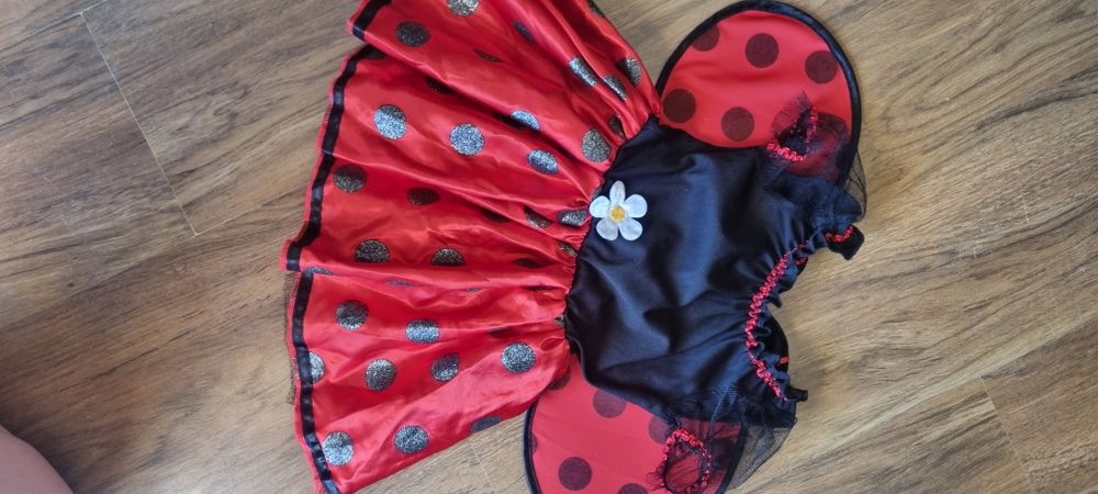 Biedronka strój karnawałowy kostium na bal przebierańców ladybug