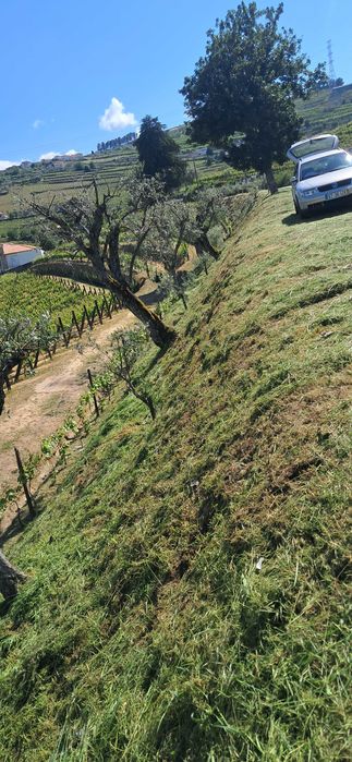 Prestação de serviços