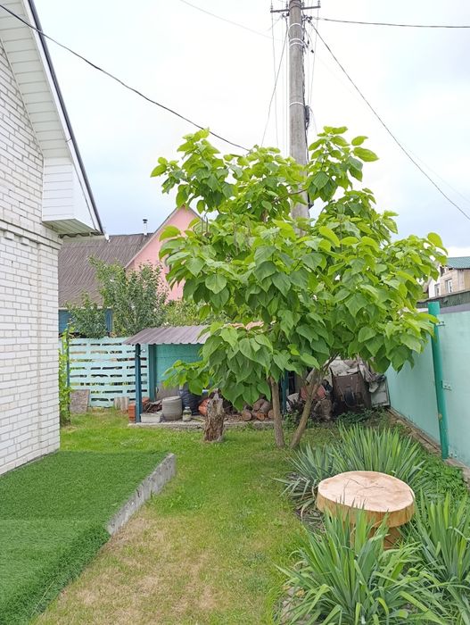 Продаж! Будинок, ділянка 6 соток Осокорки, Дарницький р-н, 3 км метро