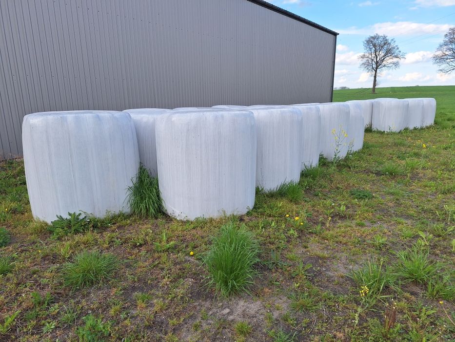 Sianokiszonka i siano