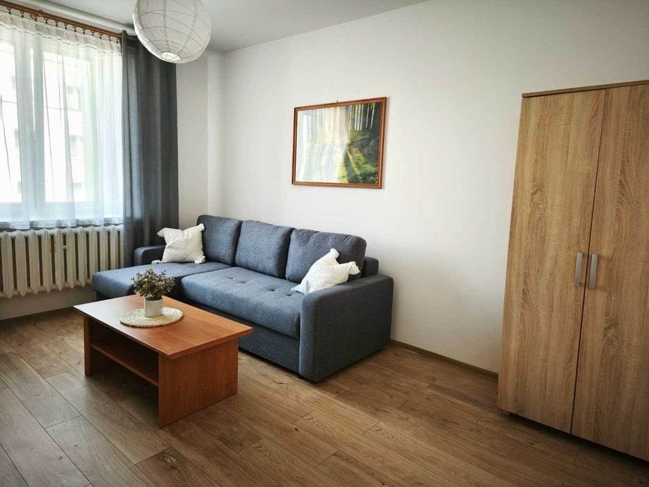 Kawalerka do wynajęcia, Gołonóg