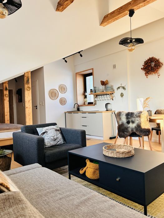 JESIENNA PROMOCJA Apartamenty Polański- nocleg w Rynku Szaflar, SALA ZABAW, nowoczesnie, blisko term, zniżka 20% na termy