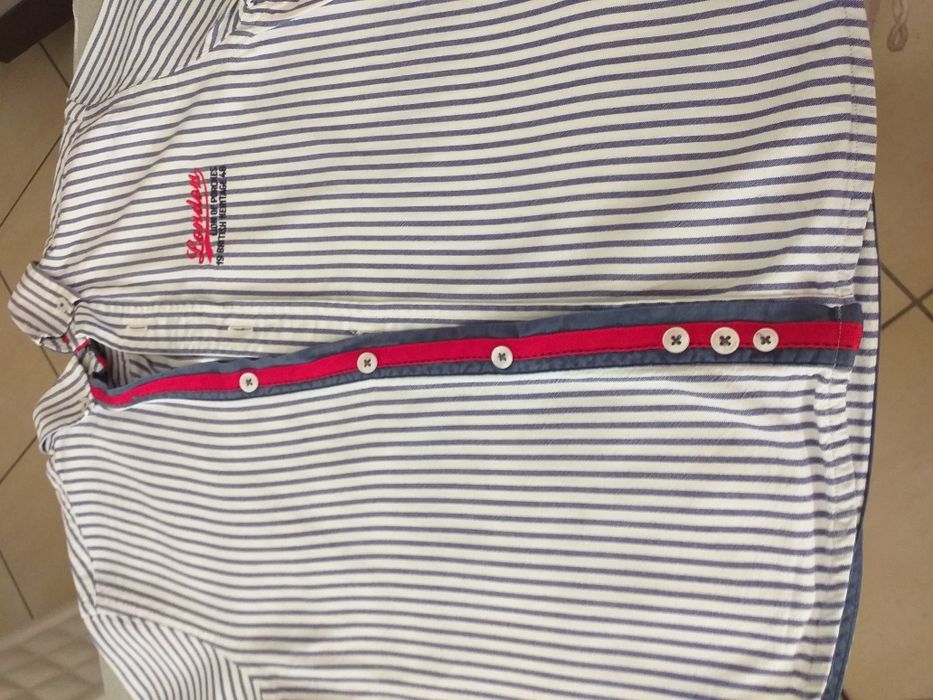 Camisa lion of porches 5-6 anos