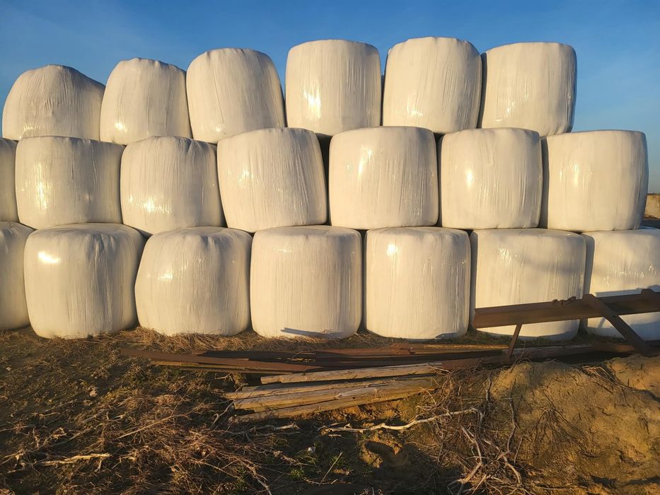 Sinokiszonka baloty 130x125