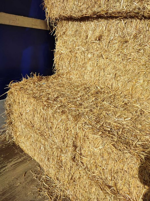 Fardo Palha Trigo