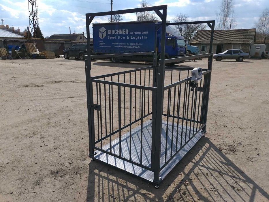 Весы для телят, коров, бычков, ВРХ, животных