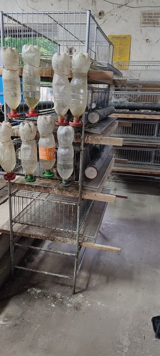 Klatki dla przepiórek,  poidełka, karmniki