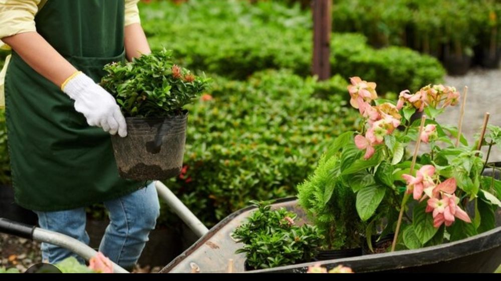 Ищу помощьника работника