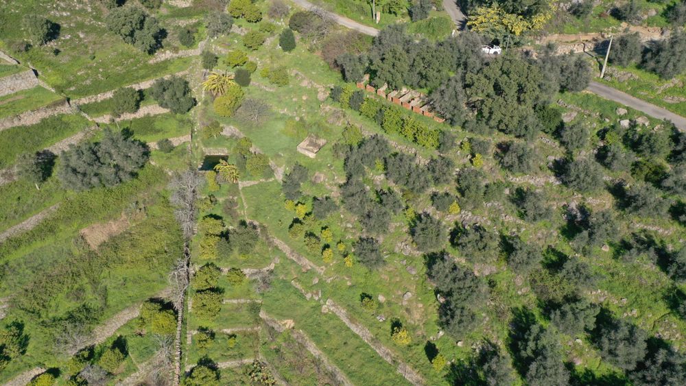 Land for sale in Monchique